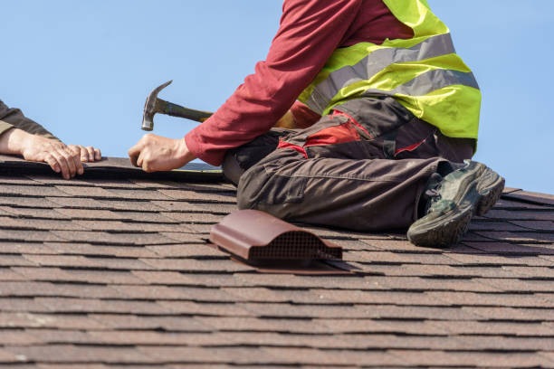 Best Roof Leak Repair  in Carrollton, OH