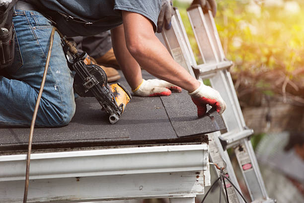 Best Roof Gutter Cleaning  in Carrollton, OH