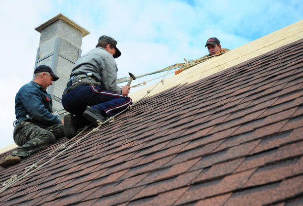 Best Commercial Roofing Services  in Carrollton, OH